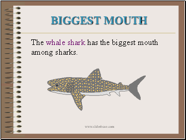 Biggest Mouth