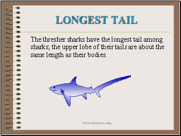 Longest Tail