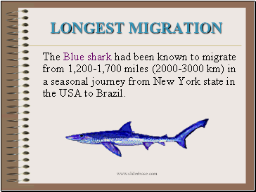 Longest Migration