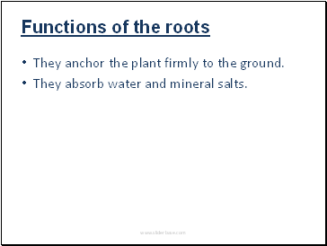 Functions of the roots