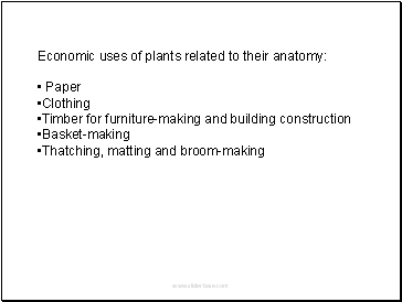 Economic uses of plants related to their anatomy: