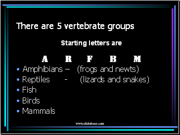 There are 5 vertebrate groups