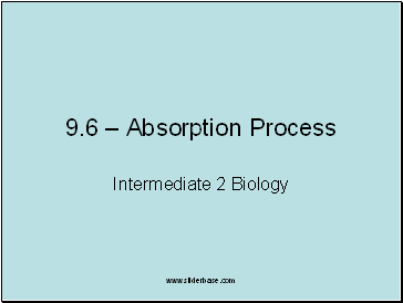 Absorption Process