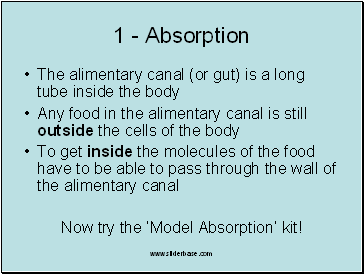 Absorption