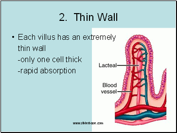 2. Thin Wall
