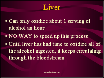 Liver