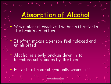 Absorption of Alcohol