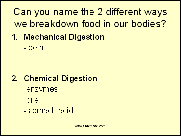 Can you name the 2 different ways we breakdown food in our bodies?