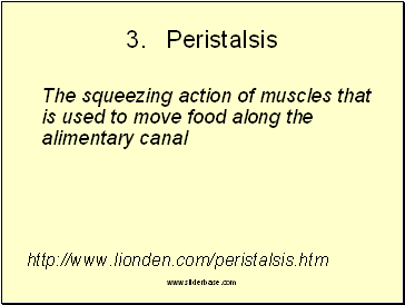 3. Peristalsis