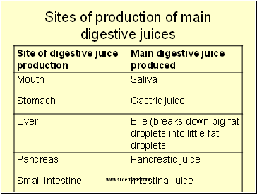 Sites of production of main digestive juices