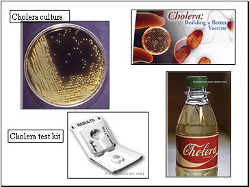 Cholera test kit