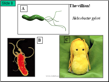 Helicobacter pylori