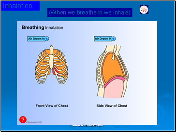 Inhalation