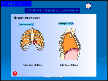 Exhalation