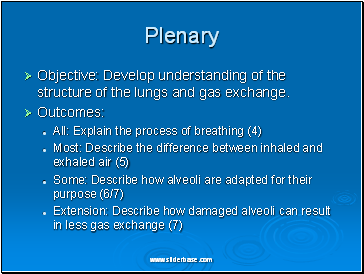 Plenary