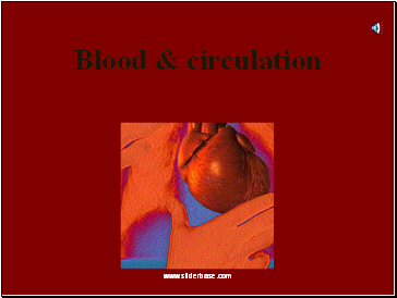 Blood & circulation