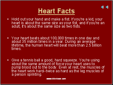 Heart Facts