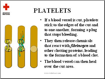 Platelets