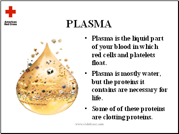 Plasma