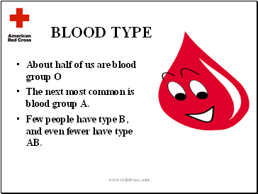 BLOOD TYPE