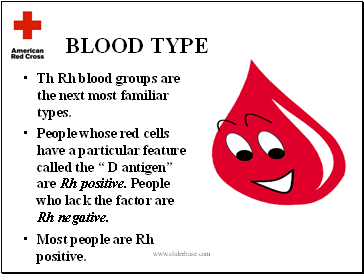 BLOOD TYPE