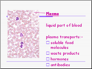 Plasma