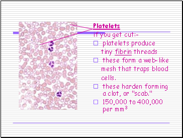 Platelets