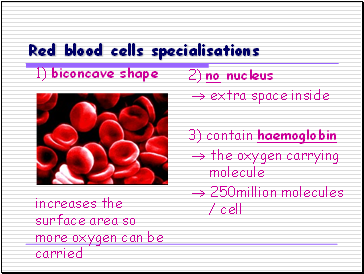 Red blood cells specialisations