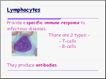 Lymphocytes