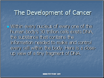 The Development of Cancer