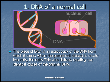 1. DNA of a normal cell
