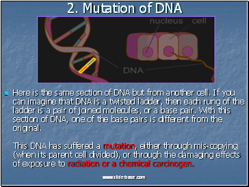 2. Mutation of DNA
