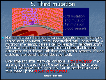 5. Third mutation