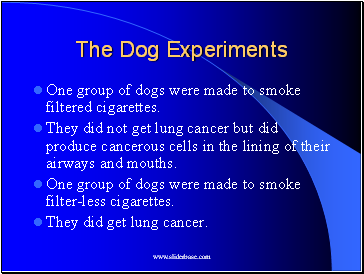 The Dog Experiments