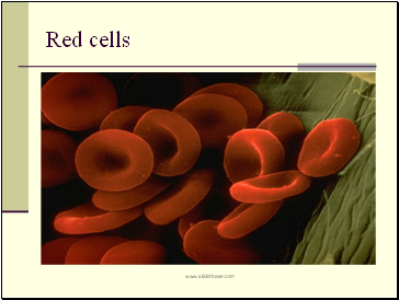 Red cells