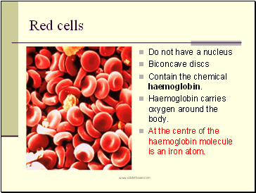 Red cells