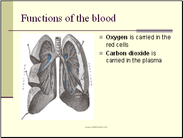 Functions of the blood