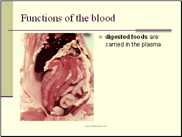 Functions of the blood