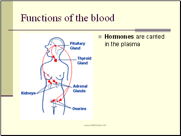 Functions of the blood