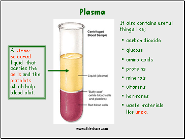 Plasma