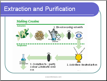 2. Acid-Base Neutralization