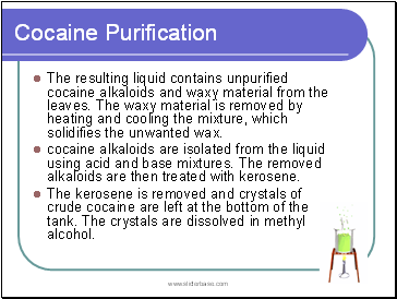 Cocaine Purification