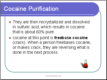 Cocaine Purification