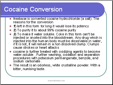 Cocaine Conversion