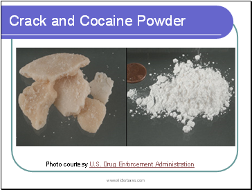 Crack and Cocaine Powder