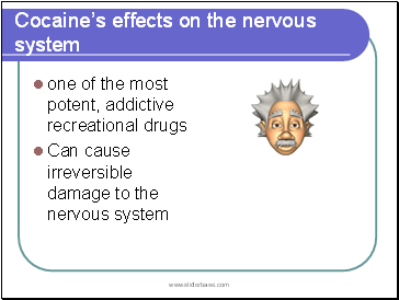 Cocaines effects on the nervous system