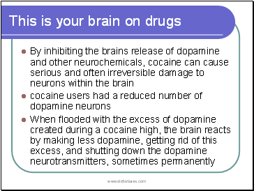 This is your brain on drugs