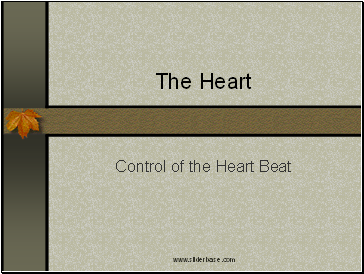 Control of heartbeat