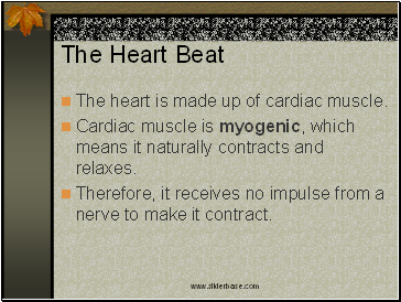 The Heart Beat