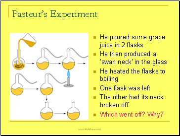 Pasteur’s Experiment